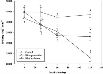 Bioaugmentation of Native Fungi, an Efficient Strategy for the Bioremediation of an Aged Industrially Polluted Soil With Heavy Hydrocarbons